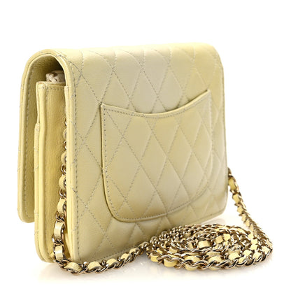 Quilted Goatskin Wallet Bag