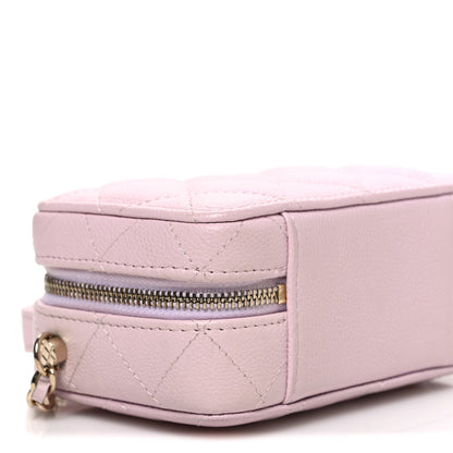 Quilted Caviar Handbag