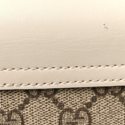 Small Shoulder Bag