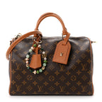 Louis Vuitton Monogram Speedy Soft 30 Boho Brown