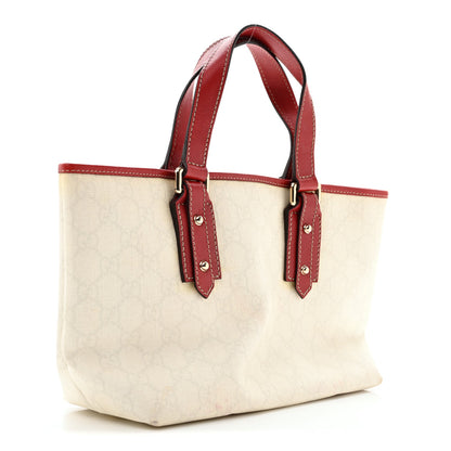 Small Tote Bag