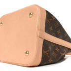 Louis Vuitton Monogram Petit Noe NM Brown