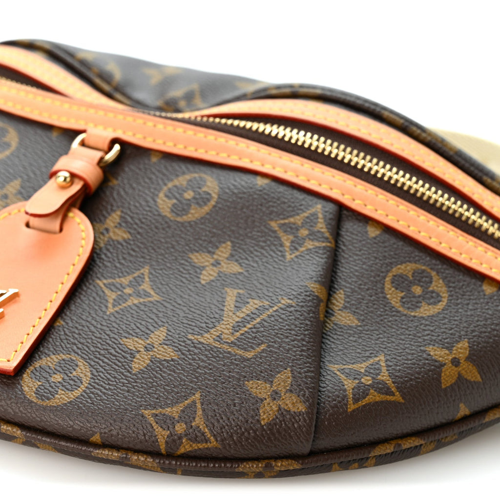 Louis Vuitton Monogram High Rise Bumbag