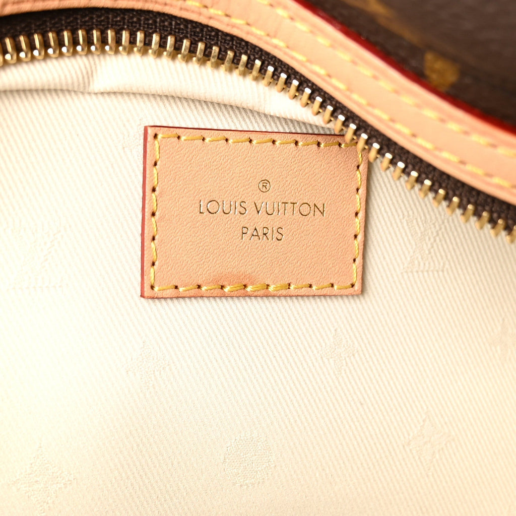 Louis Vuitton Monogram High Rise Bumbag