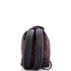 Palm Springs Backpack Limited Edition Monogram Infrarouge PM