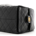 Chanel Caviar Quilted Small Chanel 25 Handbag Black
