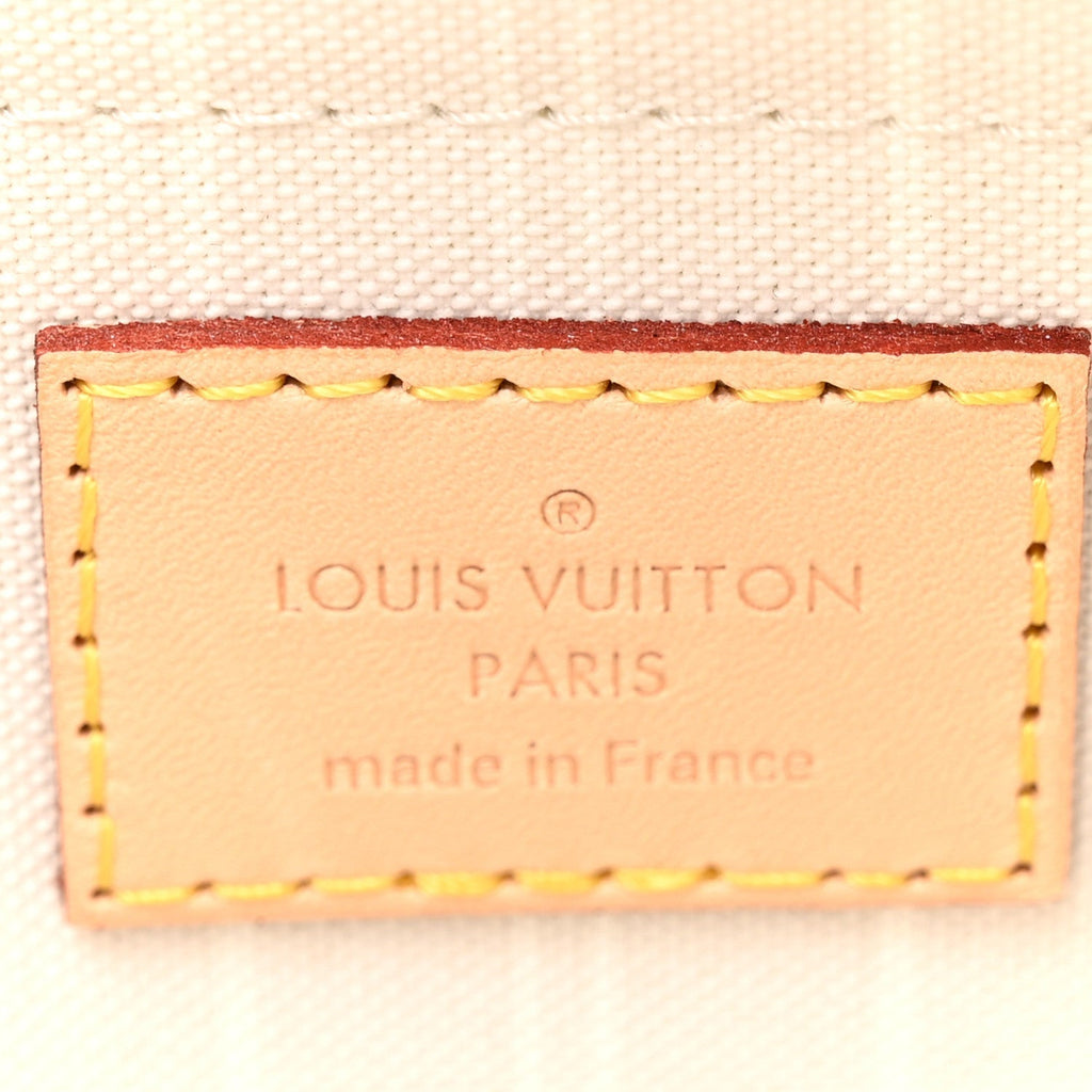 Louis Vuitton Monogram Giant Multi Pochette Accessoires Brume