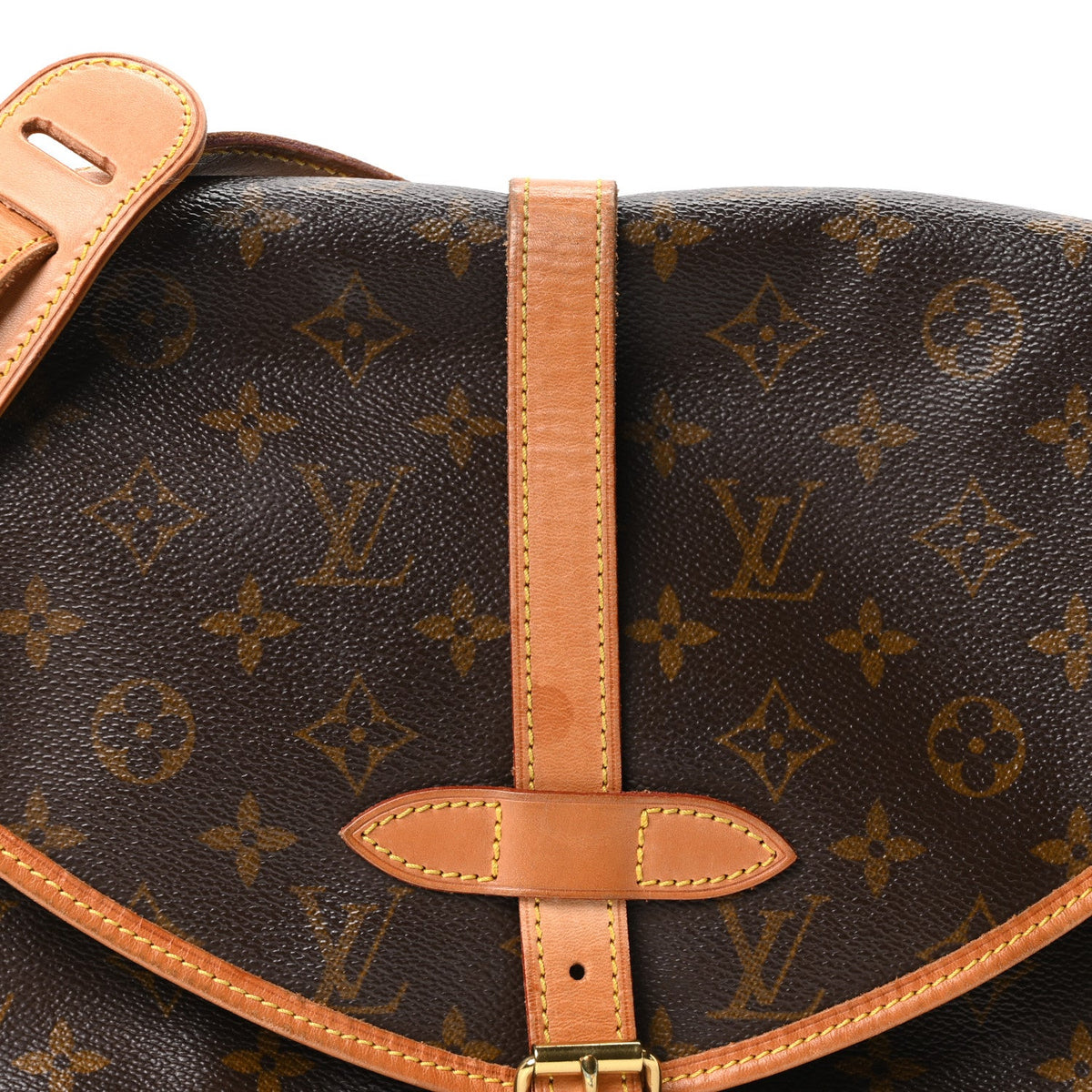 Monogram Saumur 30 Handbag