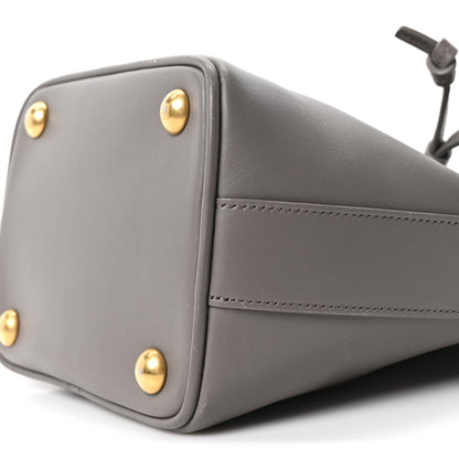 Small Calfskin Bucket Bag