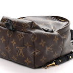 Louis Vuitton Monogram Palm Springs Backpack Mini