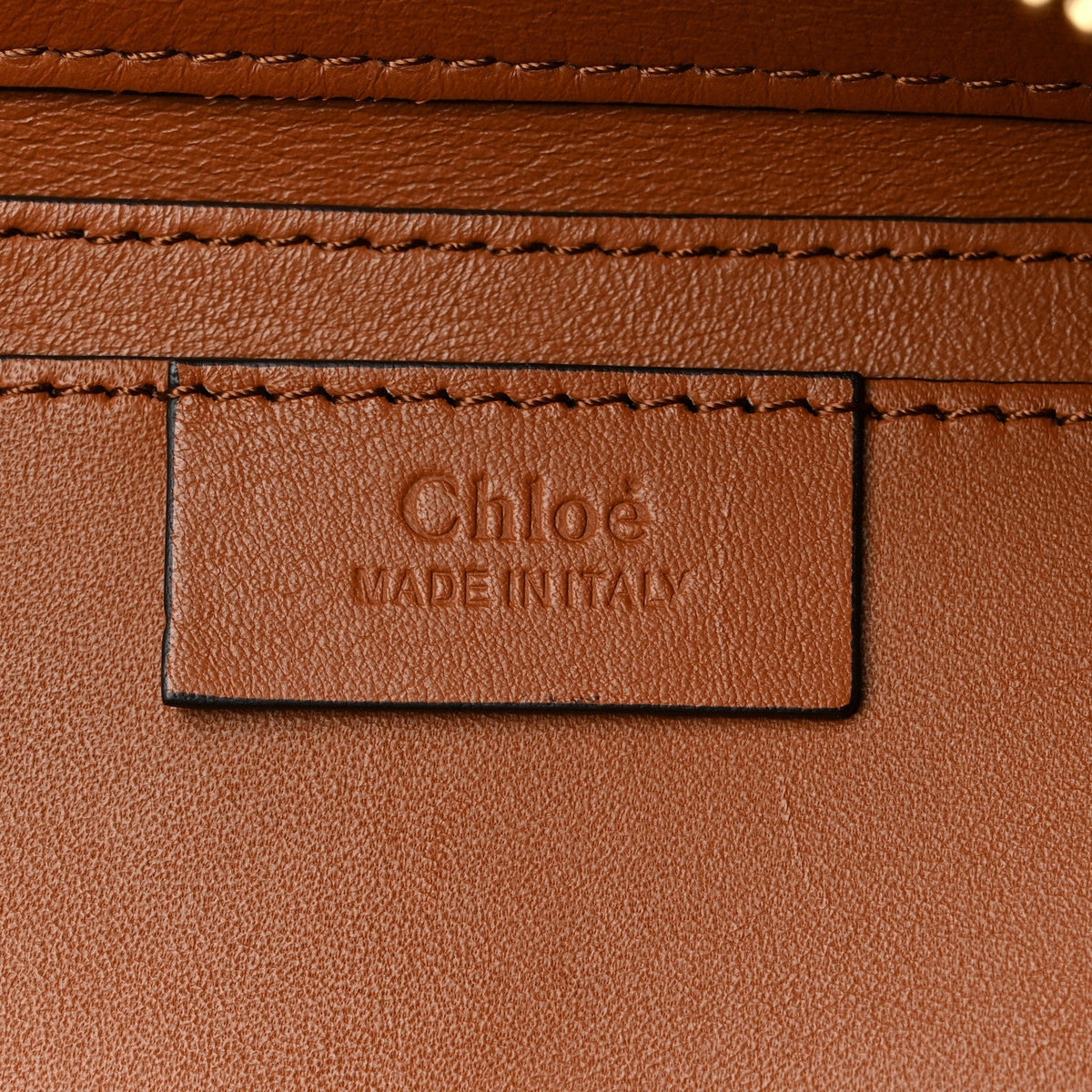 Chloe Calfskin Snakeskin Embossed Small Roy Bag Multicolor