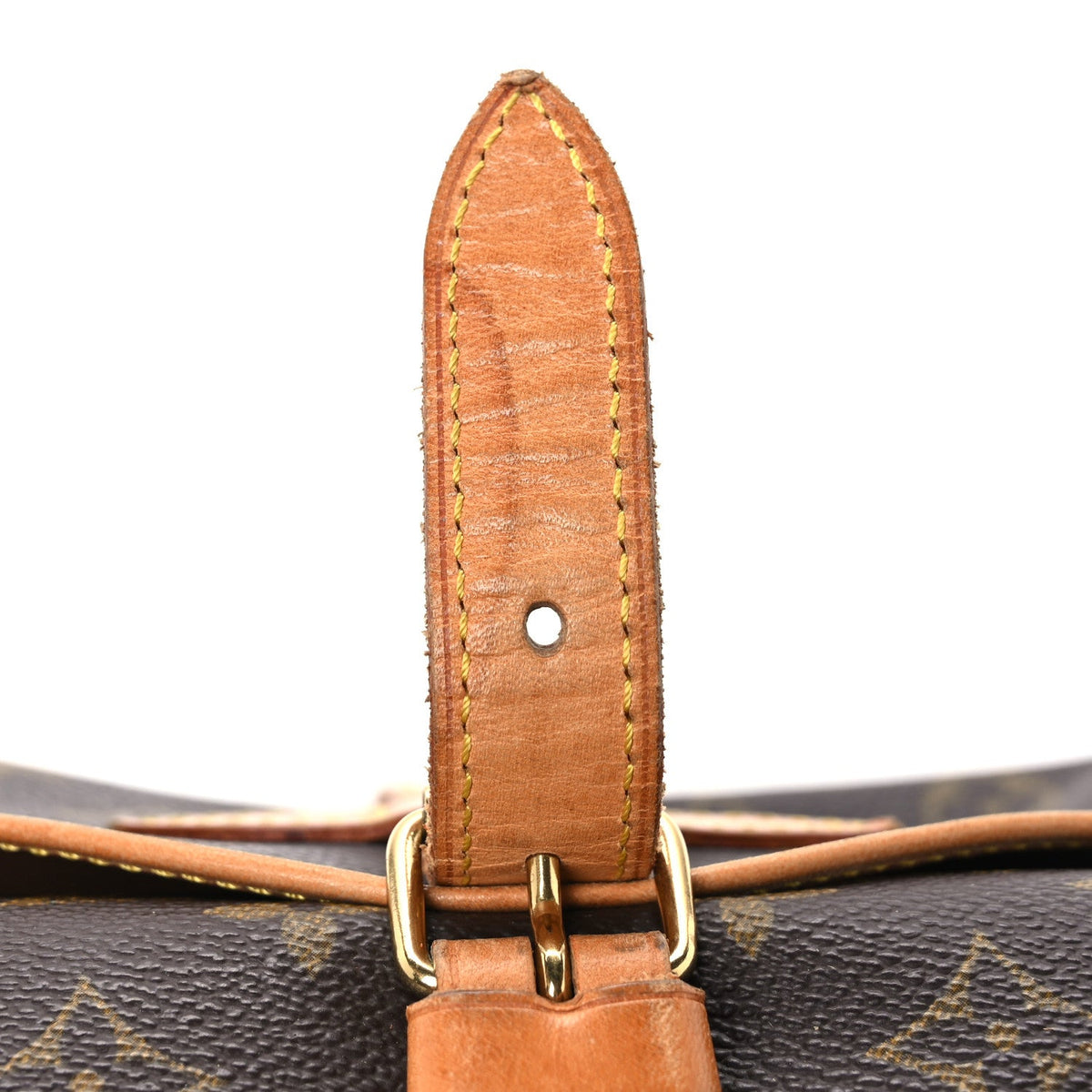 Monogram Saumur 30 Handbag