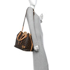 Louis Vuitton Monogram Neo Bucket Bag Brown