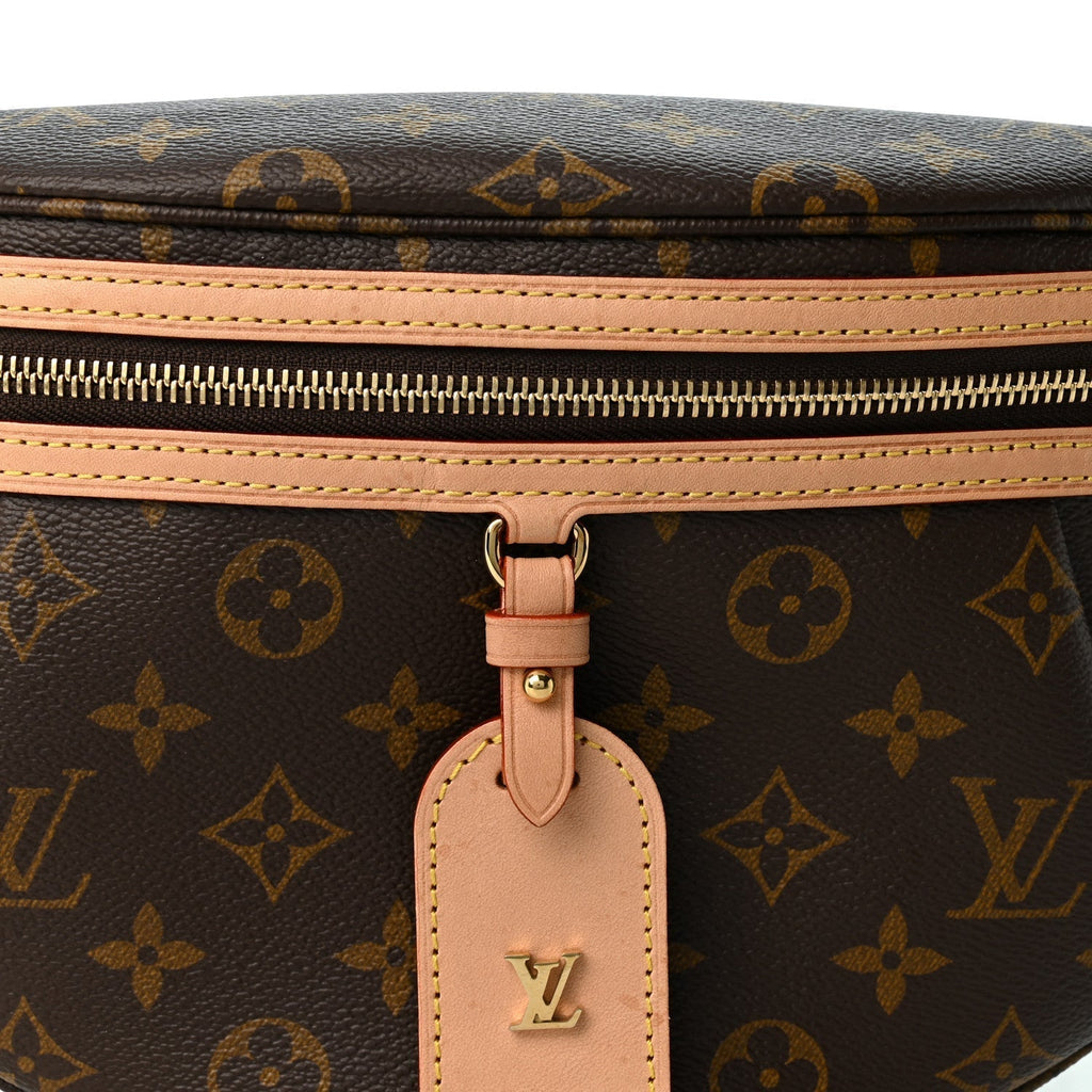 Louis Vuitton Monogram High Rise Bumbag