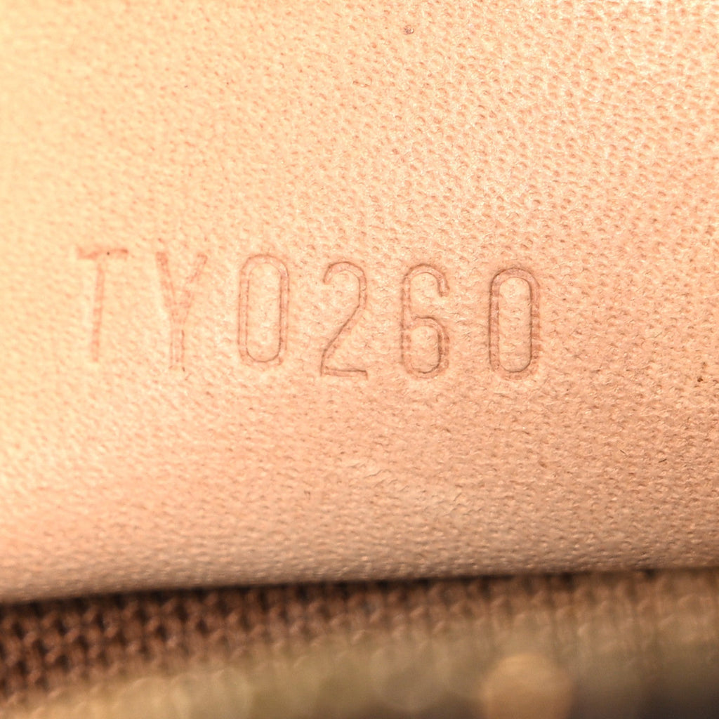 Louis Vuitton Monogram Canvas Nano Speedy Brown M61252