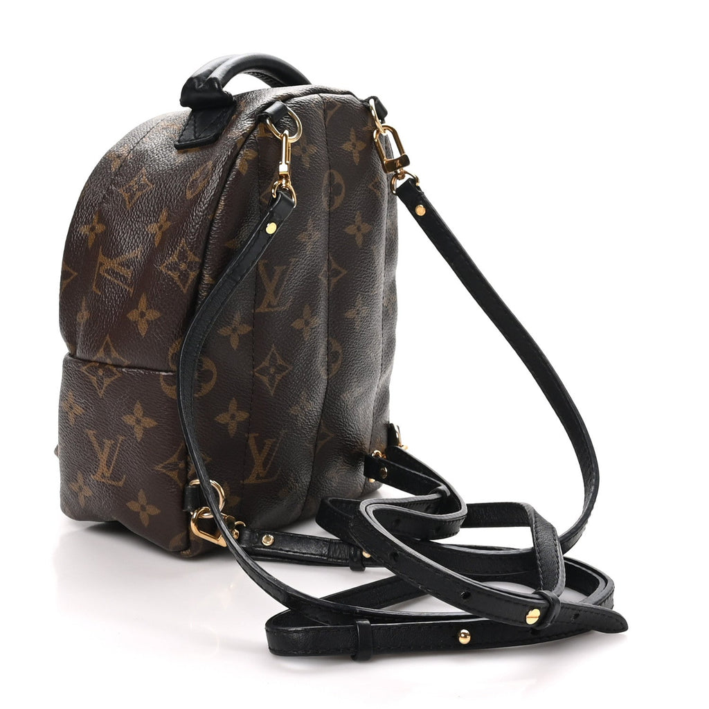 Louis Vuitton Monogram Palm Springs Backpack Mini