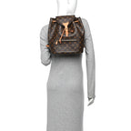 Louis Vuitton Monogram Montsouris NM Backpack Brown