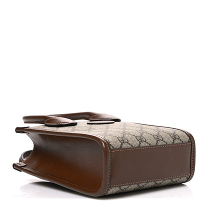 Mini Calfskin Tote Bag