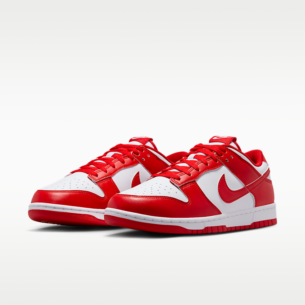 Dunk Low Retro Shoes