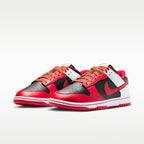 Dunk Low Retro Shoes