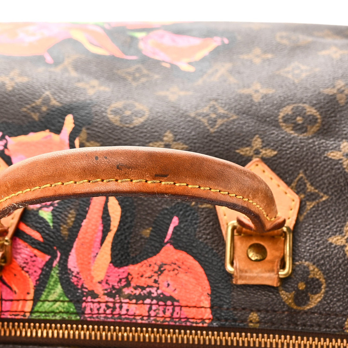 Monogram Roses Speedy 30 Handbag