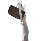 Louis Vuitton Damier Ebene Neo Neverfull GM Brown