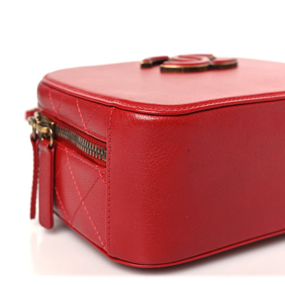 Small Quilted Goatskin Handbag