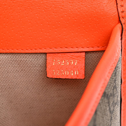Small Belt Bag