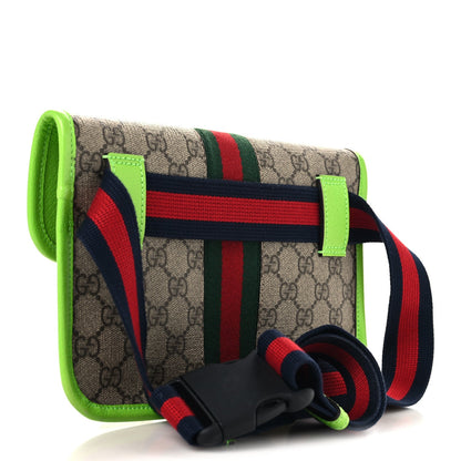 Small Belt Bag