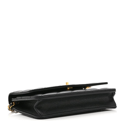 Quilted Caviar Wallet Bag