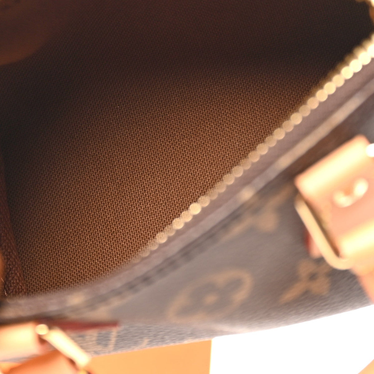 Louis Vuitton Monogram Vachetta Nano Speedy Bandouliere Brown