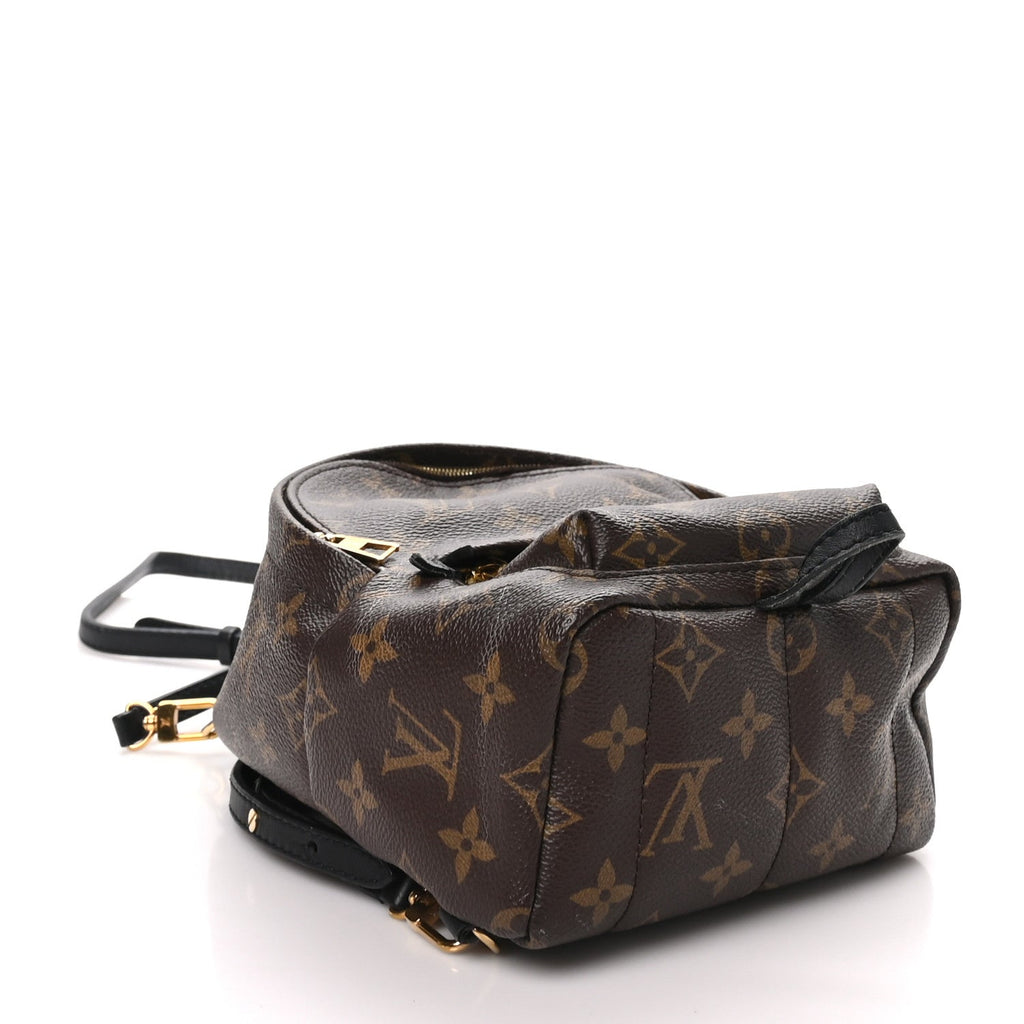 Louis Vuitton Monogram Palm Springs Backpack Mini