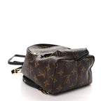 Louis Vuitton Monogram Palm Springs Backpack Mini