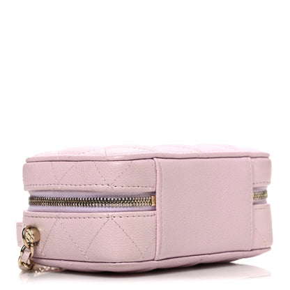 Quilted Caviar Handbag