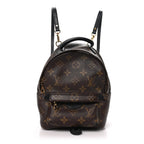 Louis Vuitton Monogram Palm Springs Backpack Mini