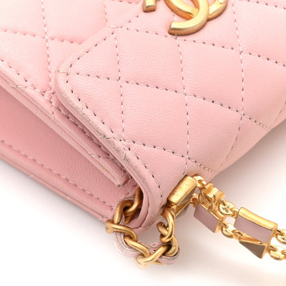 Mini Quilted Lambskin Flap Shoulder Bag