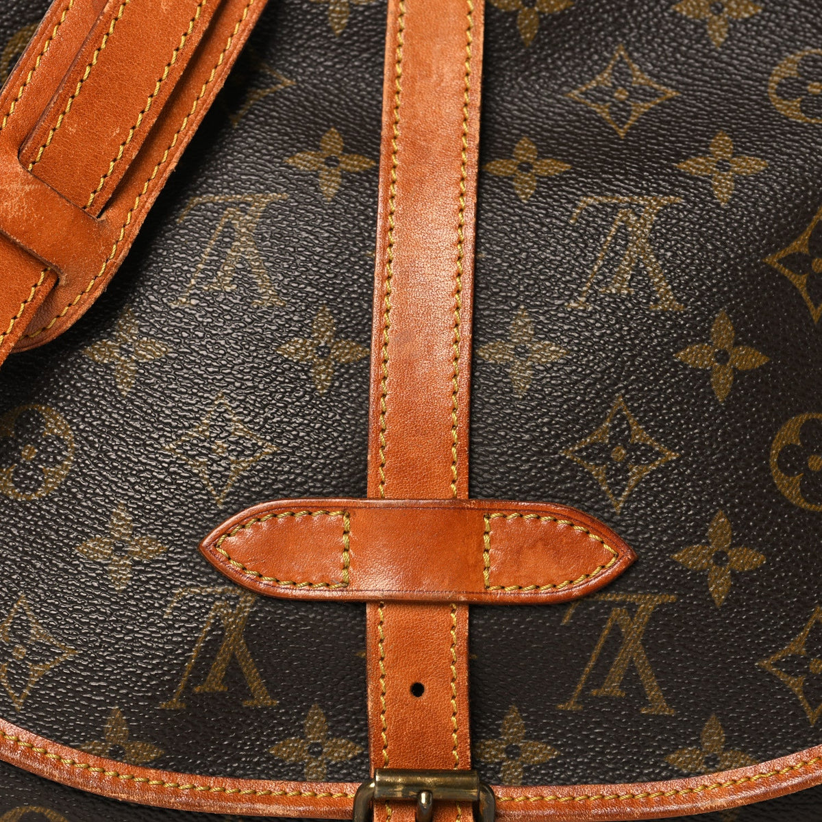 Monogram Saumur 30 Handbag