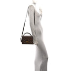 Louis Vuitton Damier Ebene Croisette Bag Brown