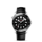 OMG Seamaster Ref. # 210.93.42.20.01.001