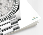 Day-Date, 40mm, Platinum, Ref# 228236-0011